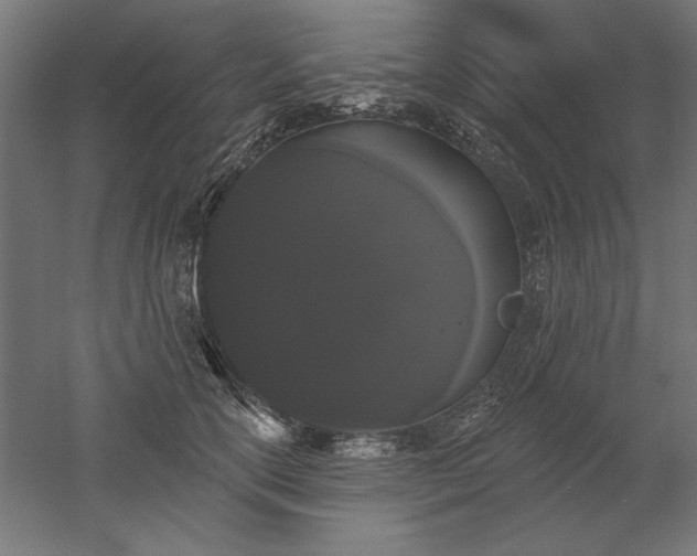 X0000051920754200507011559