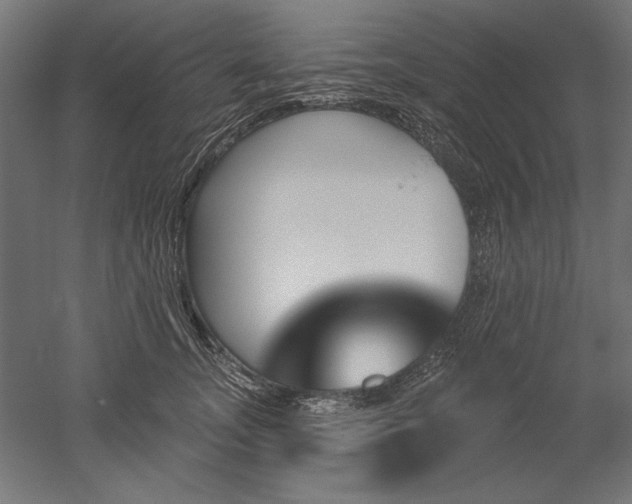 X0000051920755200507011559