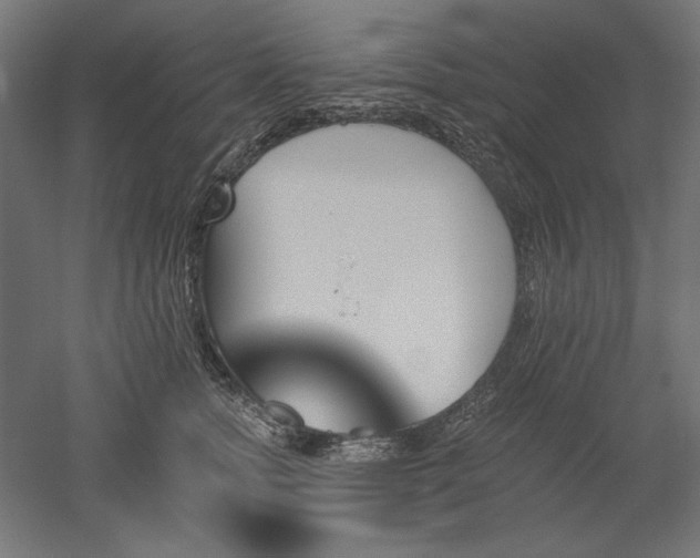 X0000051920758200507011559