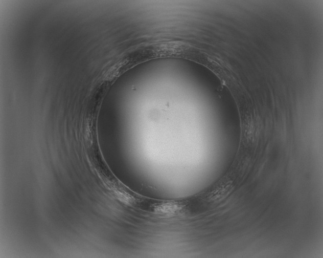X0000051920759200507011559