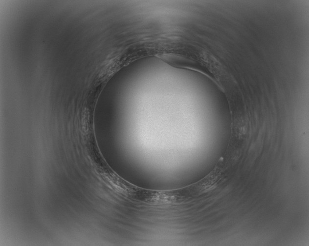 X0000051920760200507011559
