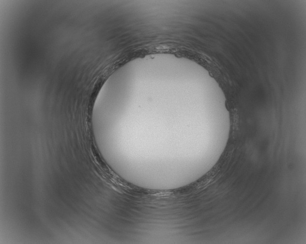 X0000051920761200507011559