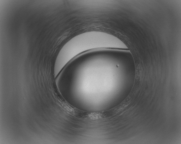 X0000051920762200507011559