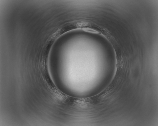 X0000051920763200507011559