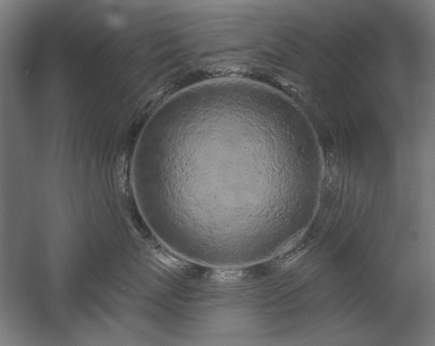 X0000051920767200507011559