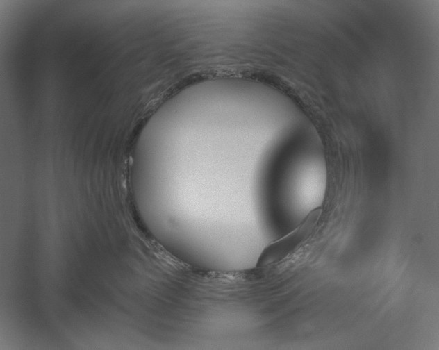 X0000051920768200507011600
