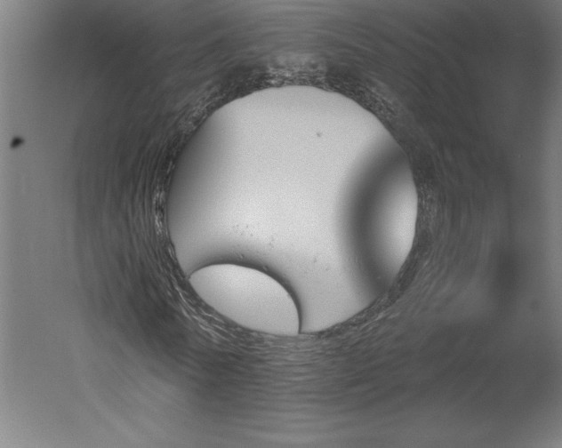 X0000051920770200507011559