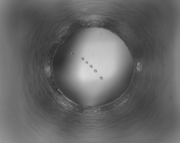 X0000051920771200507011559