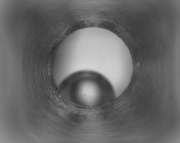 X0000051920772200507011559