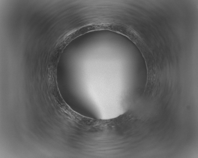 X0000051920773200507011559