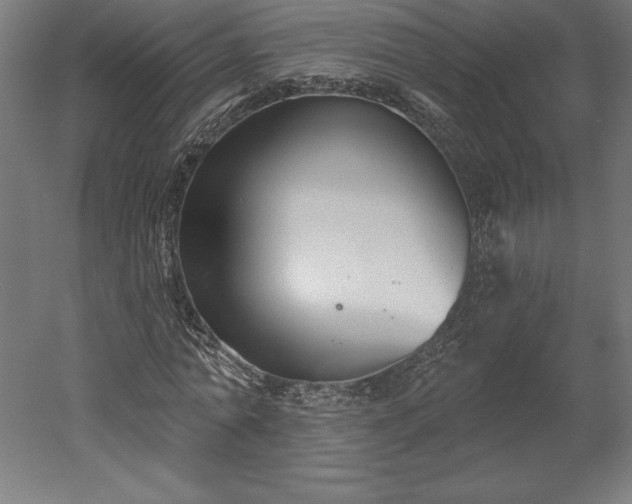 X0000051920774200507011559