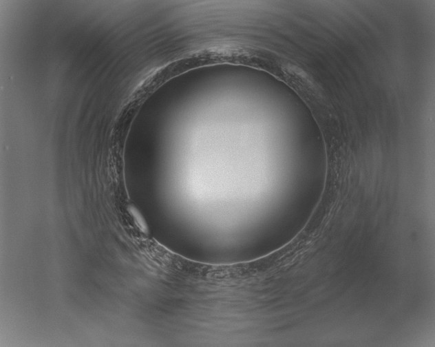 X0000051920776200507011559