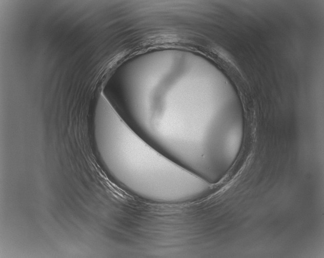 X0000051920777200507011559