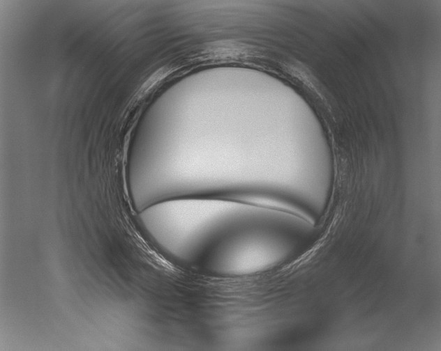 X0000051920778200507011559