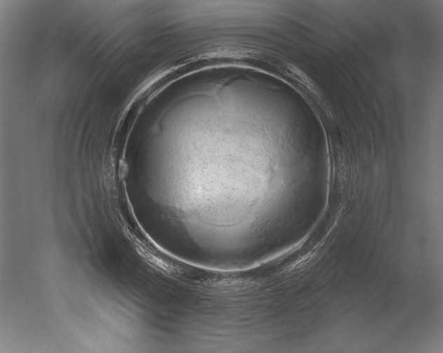 X0000051920779200507011559