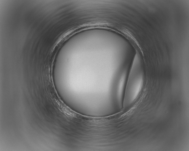 X0000051920781200507011558