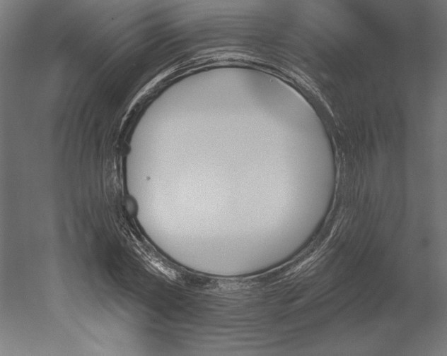 X0000051920782200507011558