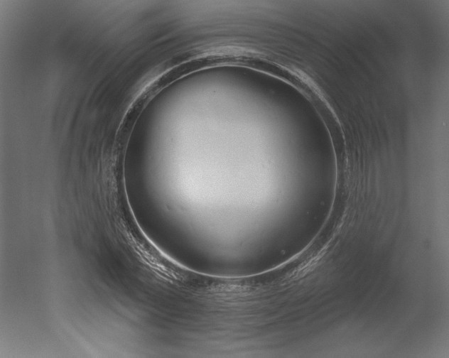 X0000051920783200507011558