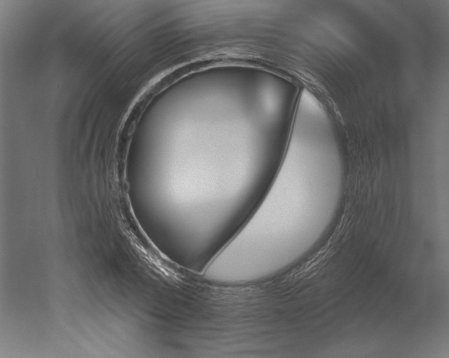 X0000051920784200507011558