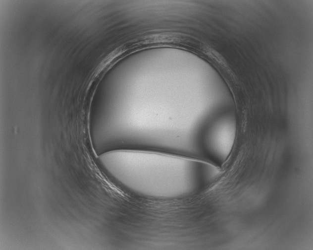 X0000051920786200507011558