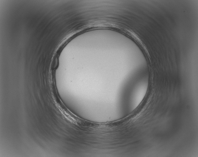 X0000051920787200507011558