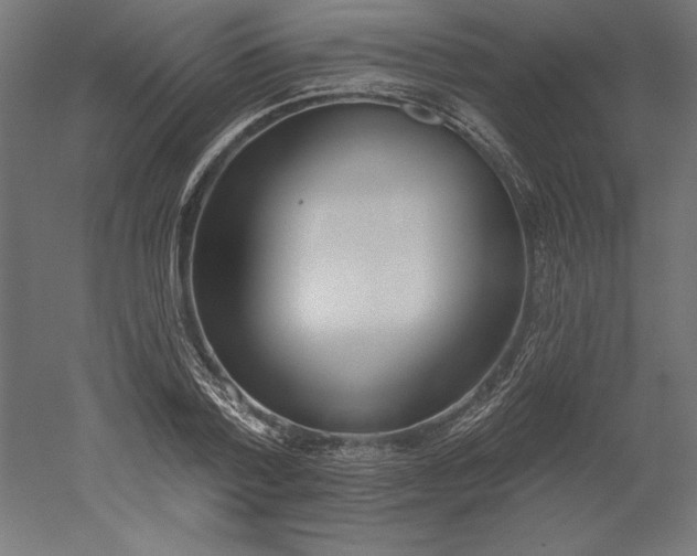 X0000051920788200507011558