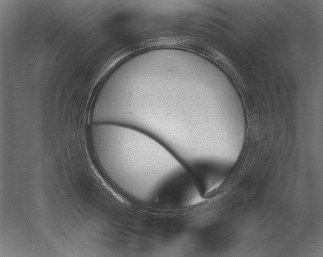 X0000051920794200507011558