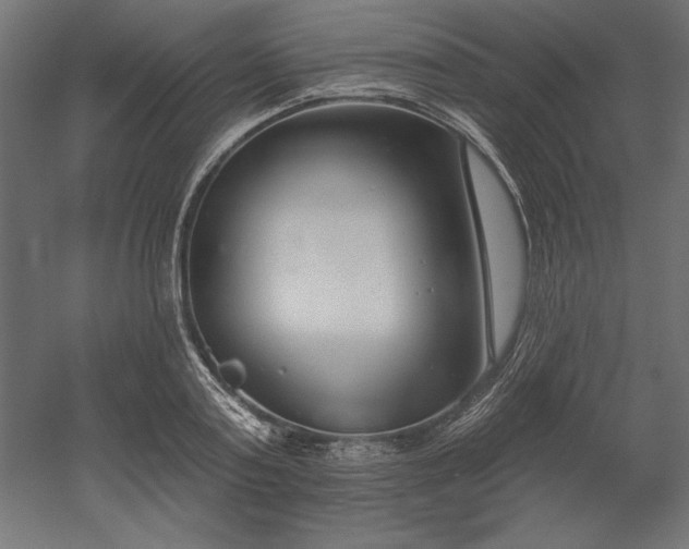 X0000051920795200507011558