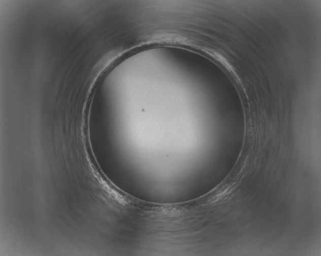 X0000051920799200507011558