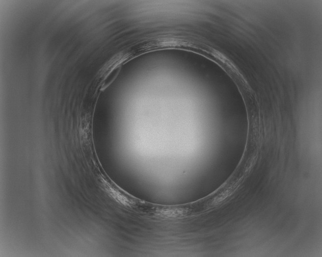 X0000051920801200507011558