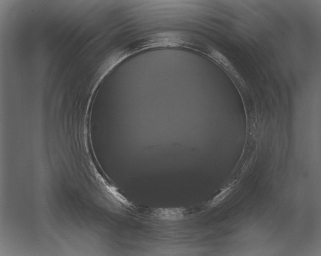 X0000051920802200507011558