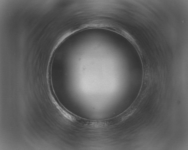 X0000051920803200507011558