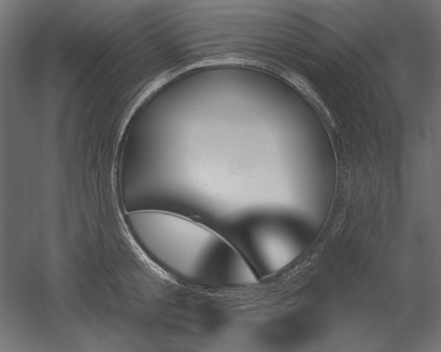 X0000051920805200507011558