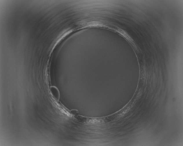 X0000051920806200507011558