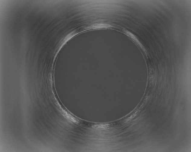 X0000051920810200507011558