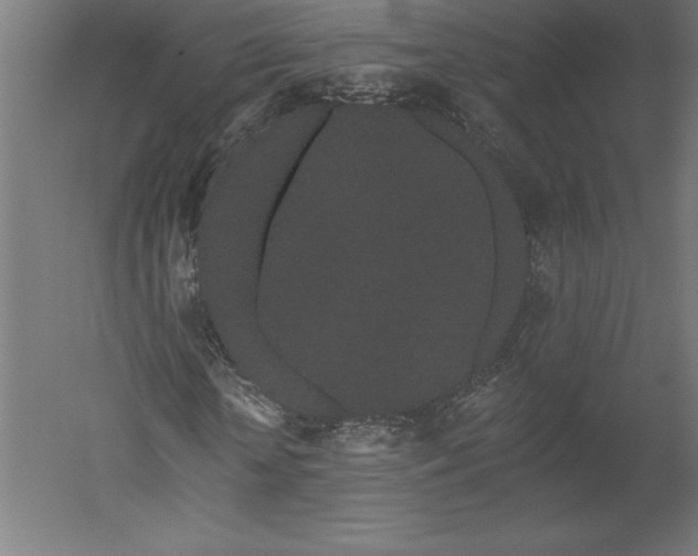 X0000051920818200507011557