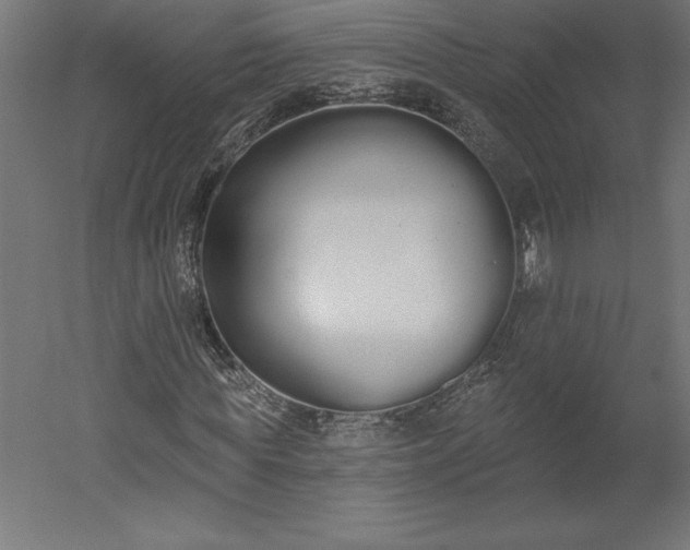 X0000051920819200507011557