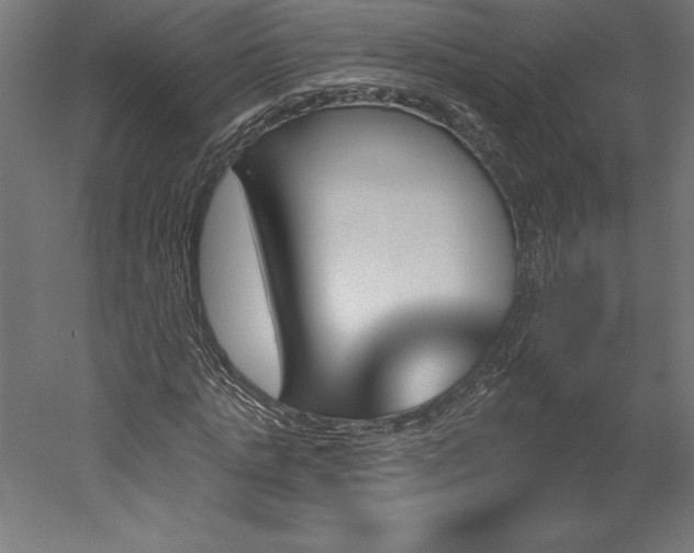 X0000051920821200507011557