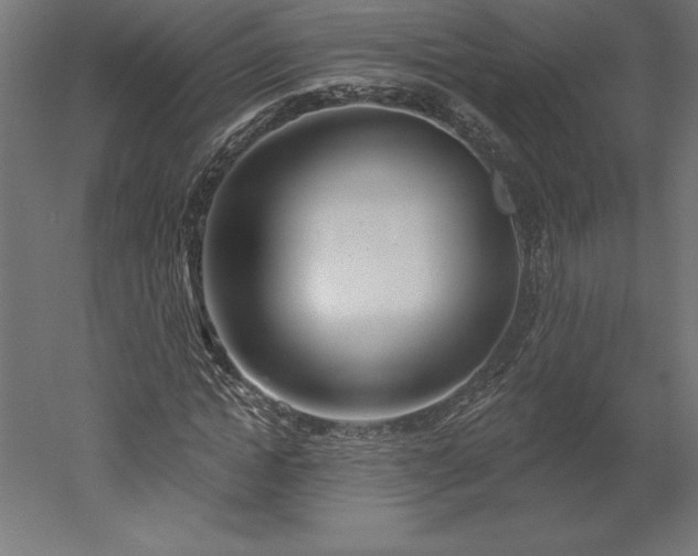 X0000051920822200507011557