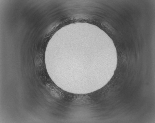 X0000051920824200507011557