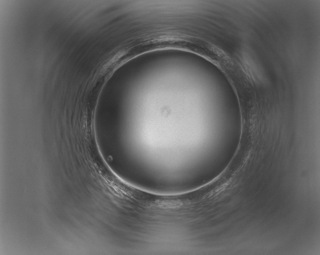 X0000051920825200507011557