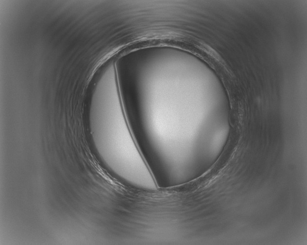 X0000051920826200507011557