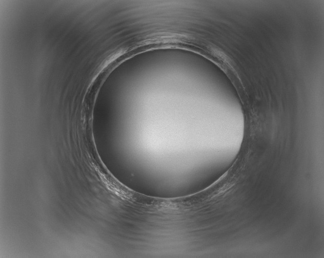 X0000051920827200507011557