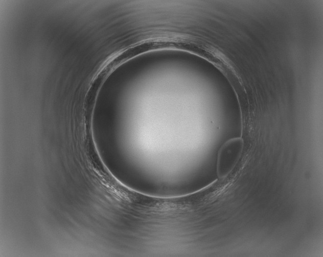 X0000051920829200507011557