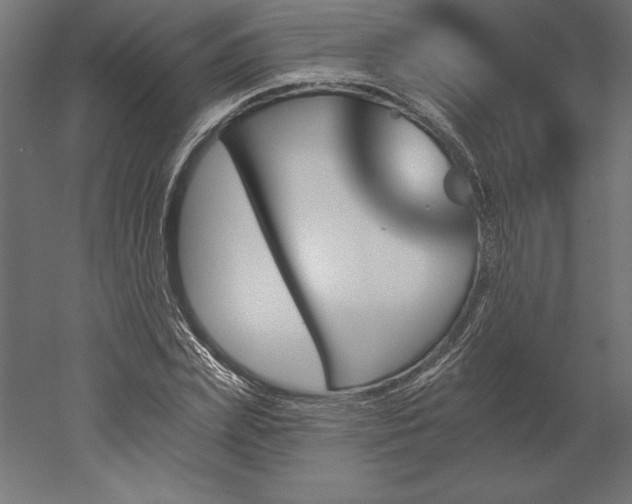 X0000051920831200507011557