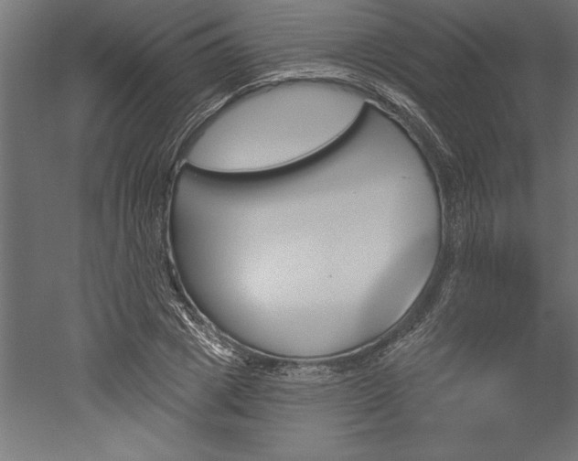 X0000051920833200507011557