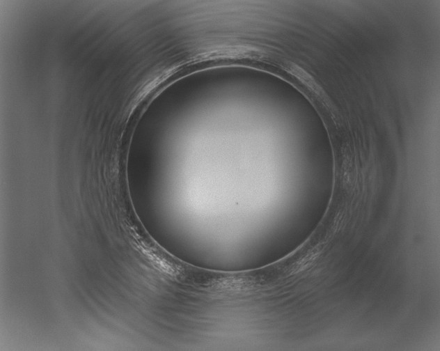 X0000051920834200507011557