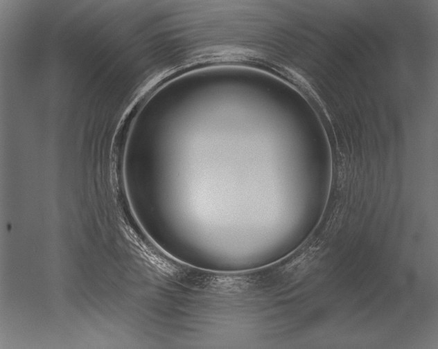 X0000051920835200507011557