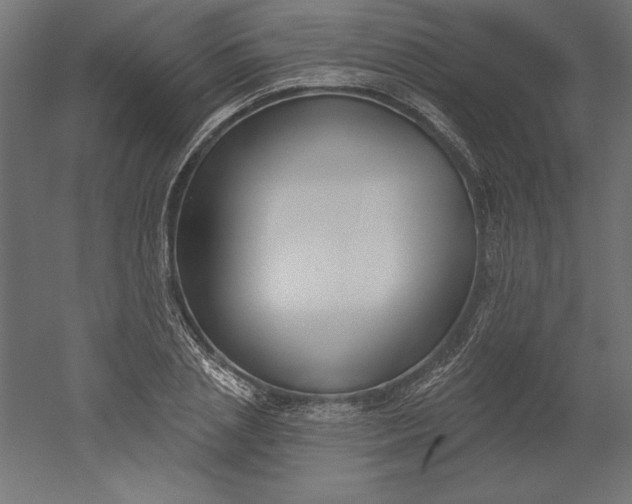 X0000051920837200507011557