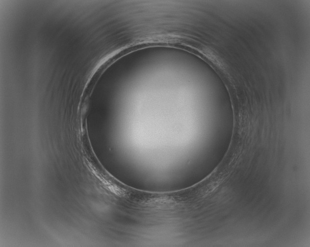 X0000051920838200507011557